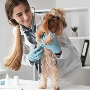 Farmacia Veterinaria