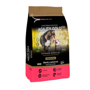 Agility Gold Primera Fase