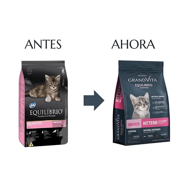 Equilibrio Gatitos (Filhotes)