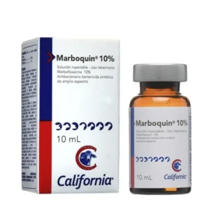 Marboquin 10% INY x 10ml