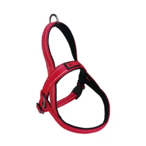 Kong Árnes Norwegian Small Rojo