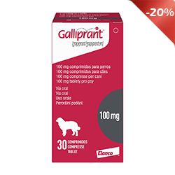 Galliprant 100mg