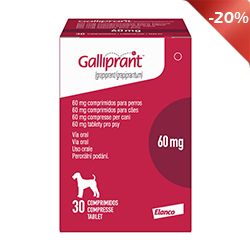 Galliprant 60mg