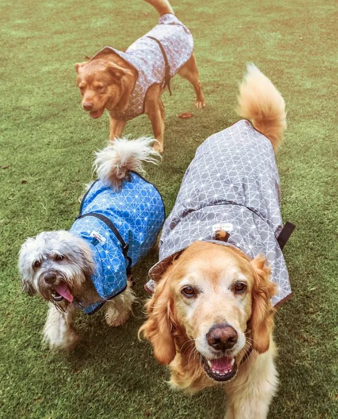 Guamba Impermeable Corazones Gris - Imagen 2