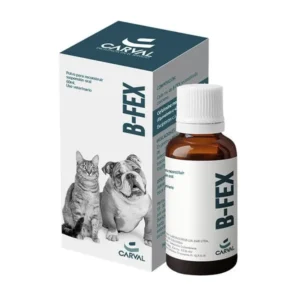 B-Fex Cefalexina Suspensión Oral