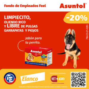 Campaña Feel Vet+Agro sin fecha_FeelAsuntol