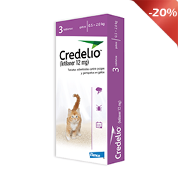 Gato de 0.5kg a 2kg