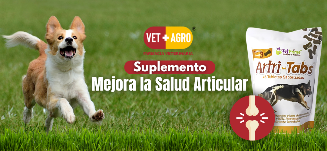 ¿Artri Tabs para qué sirve? Dosis y efectos secundarios - vetmasagro.com
