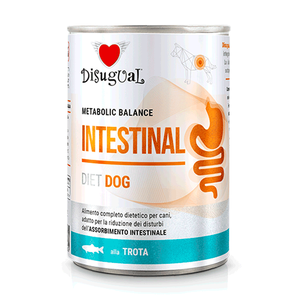 Disugual Perro Intestinal con Trucha x 400gr