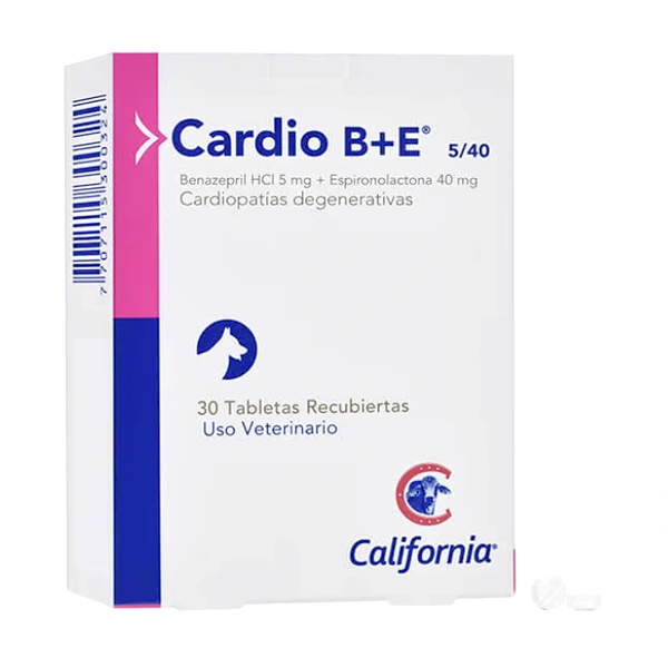 Cardio B+E 5/40