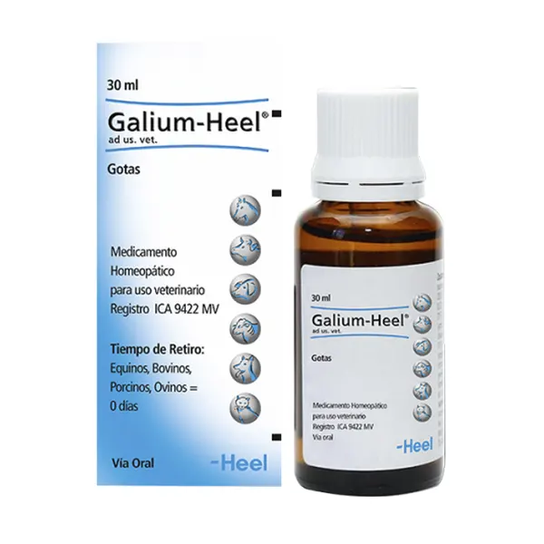 Galium Gotas
