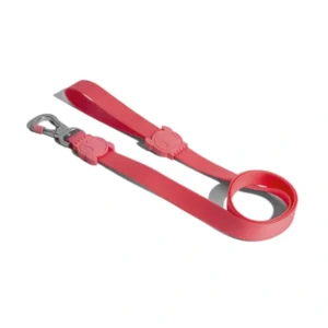 Correa para Perro Neopro Bubblegum