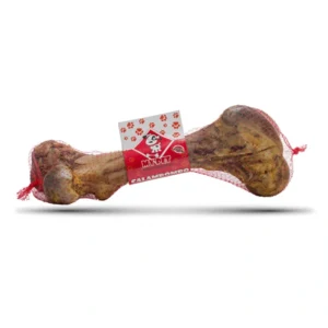 Femur de Res Completo