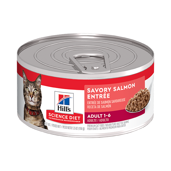 Hills Science Diet Felino Salmon Lata
