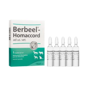 Berbeel Homaccord Inyectable