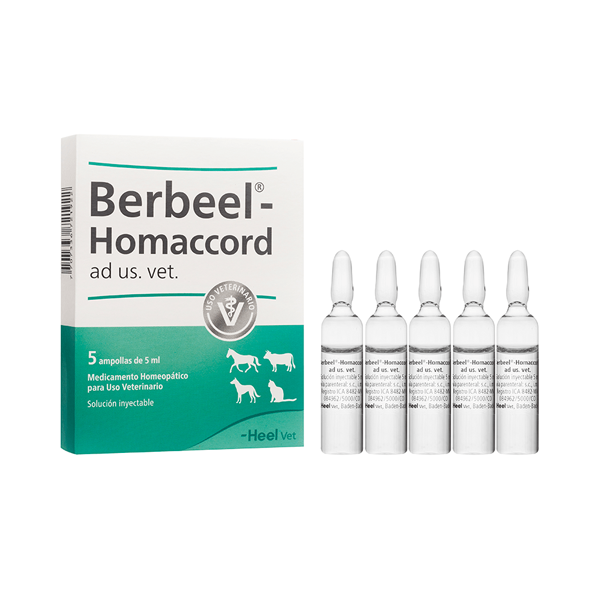 Berbeel Homaccord Inyectable