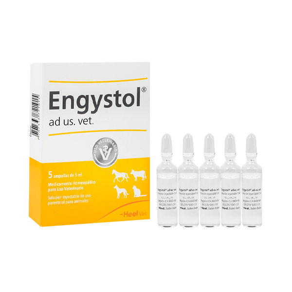 Engystol Inyectable