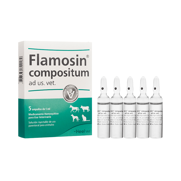 Flamosin Inyectable