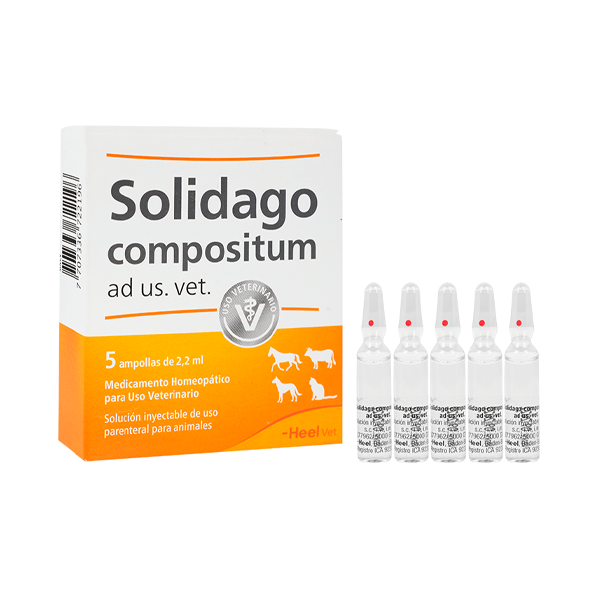 Solidago Compositum Inyectable