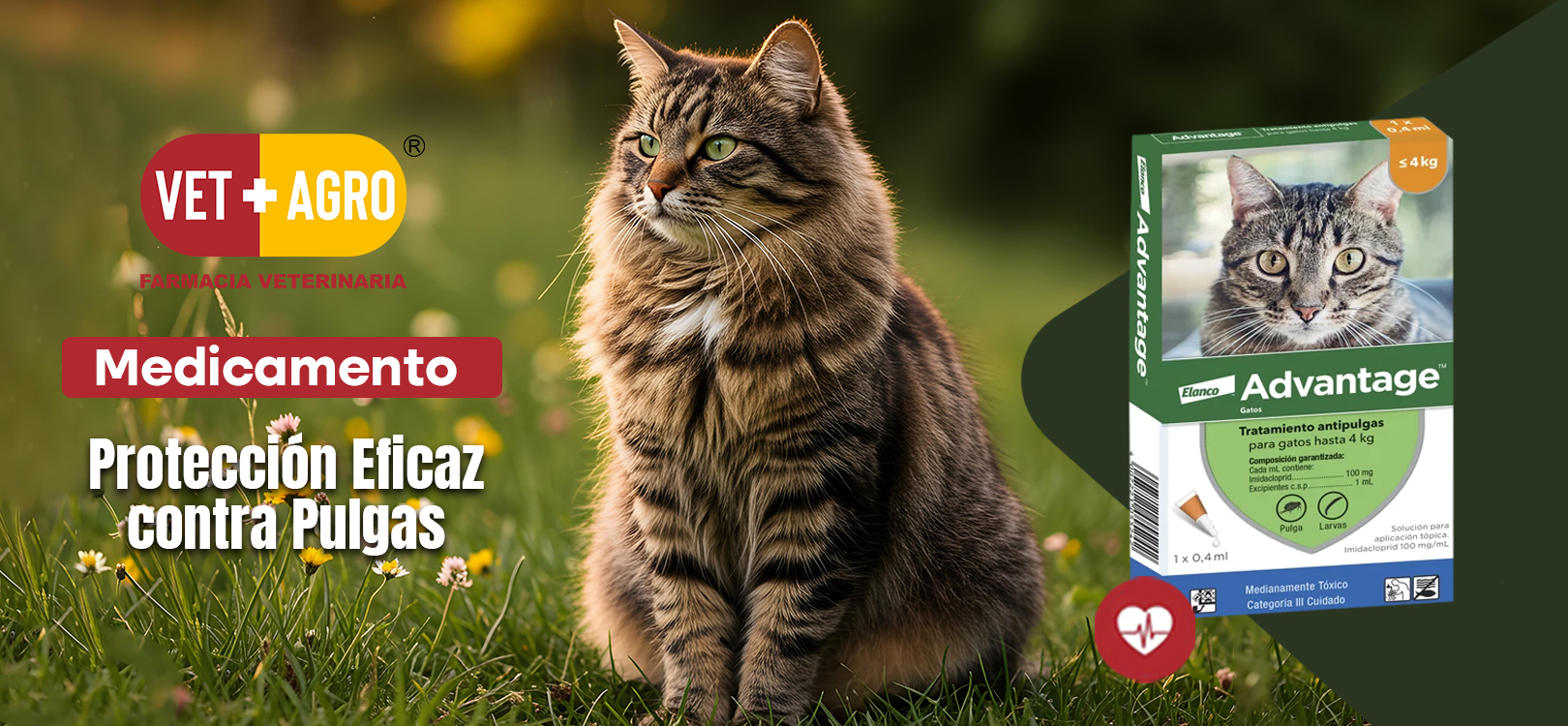 Advantage para Gato: Protección Eficaz contra Pulgas