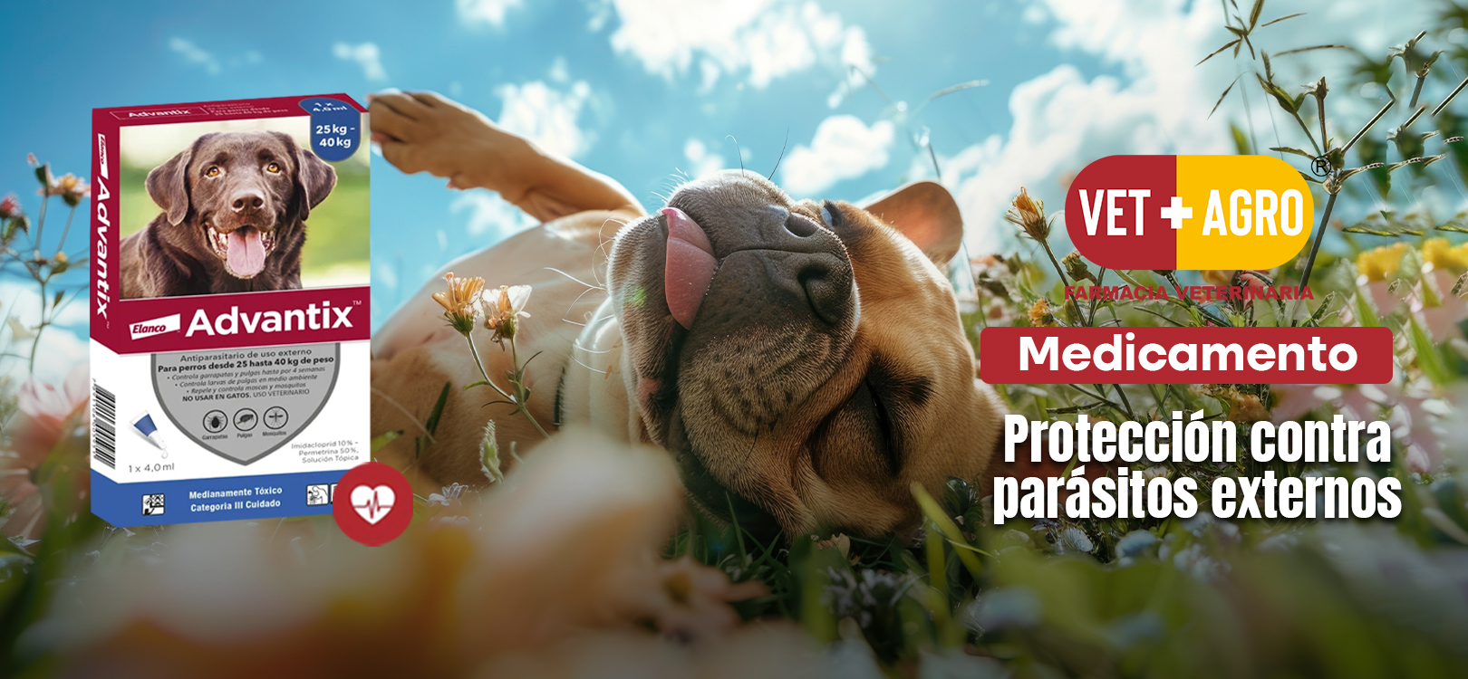 Advantix para Perro: Protección Completa contra Pulgas, Garrapatas y Mosquitos
