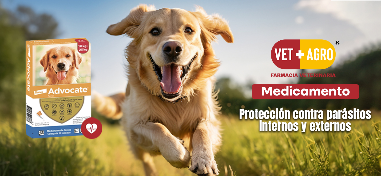 Advocate para Perro: Protección Completa contra Parásitos Internos y Externos