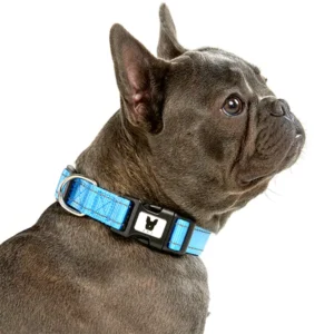 Collar Nylon Hilo Reflectivo Para Perro