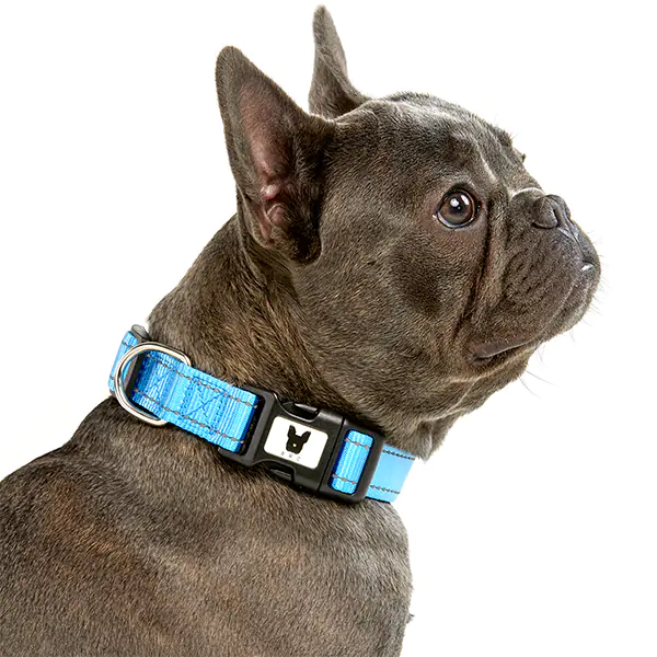 Collar Nylon Hilo Reflectivo Para Perro