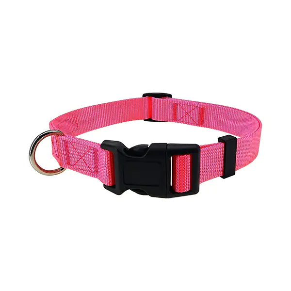 Collar Nylon Hilo Reflectivo Para Perro - Imagen 4