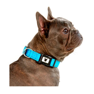 Collar Nylon Hilo Reflectivo Para Perro