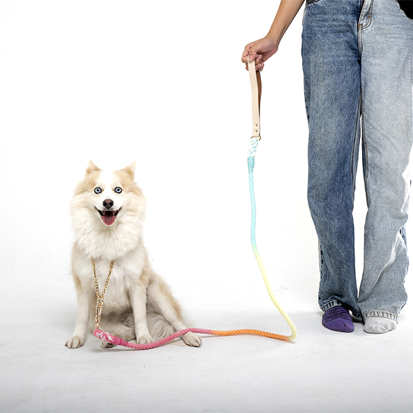 Correa Arcoíris - Imagen 2