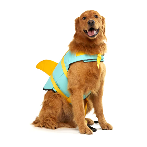 Flotador De Tiburón Para Perro - Imagen 6
