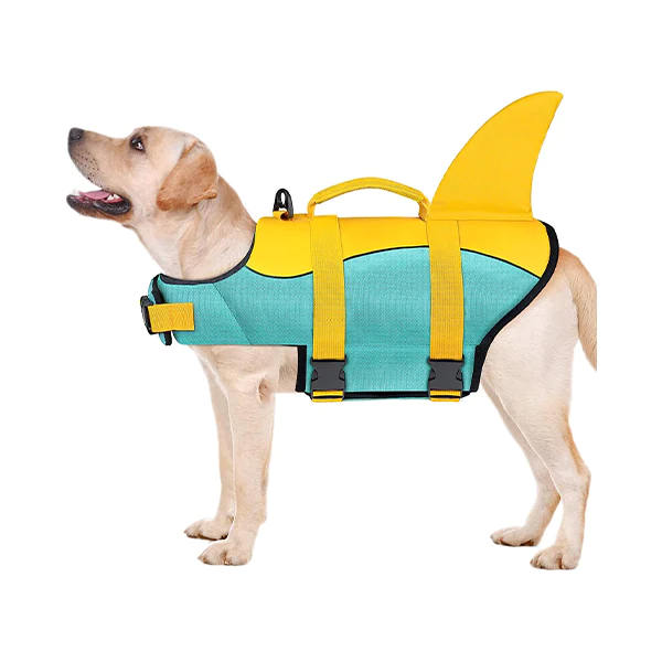 Flotador De Tiburón Para Perro - Imagen 8
