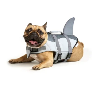 Flotador De Tiburón Para Perro