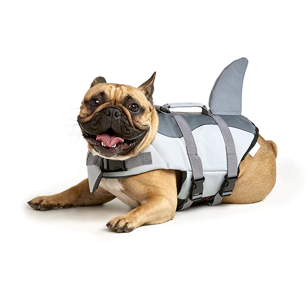 Flotador De Tiburón Para Perro