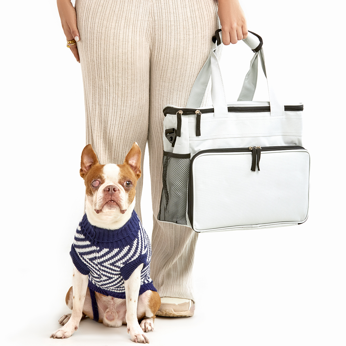 Bolsa Maleta De Viajes Para Mascotas - Imagen 3