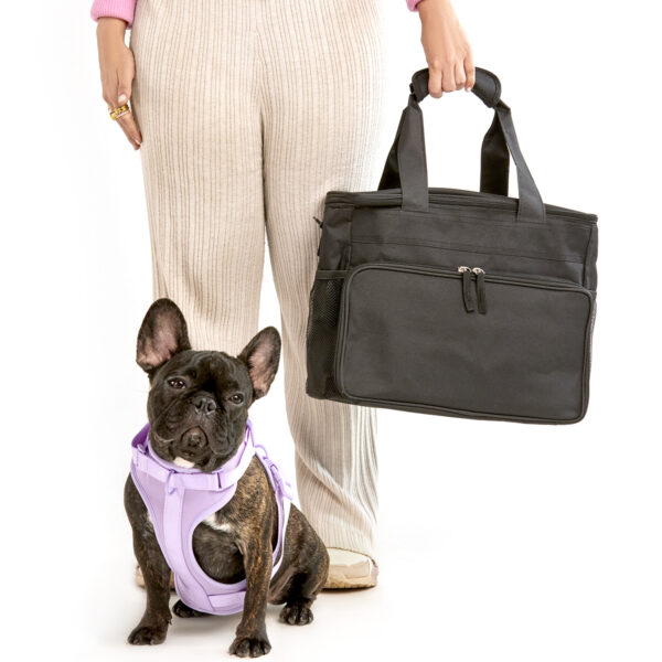 Bolsa Maleta De Viajes Para Mascotas - Imagen 2