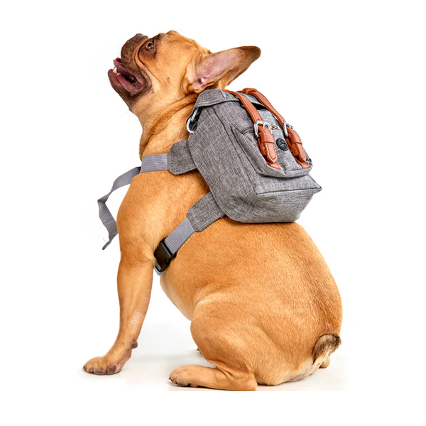 Morral Explorador Para Perro - Imagen 3