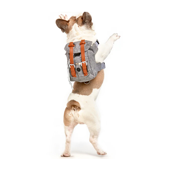 Morral Explorador Para Perro - Imagen 2