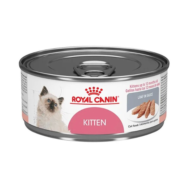 Royal Canin Kitten Loaf Lata
