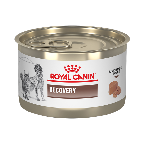 Royal Canin Recovery Lata